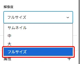 ドロップダウンメニュー。「フルサイズ」がデフォルト表示され、展開時に「サムネイル」「中」「大」「フルサイズ」(青で選択状態)、「属性」のオプションが表示されている